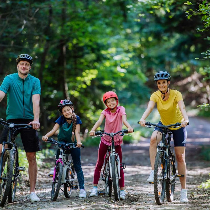 bici-familia