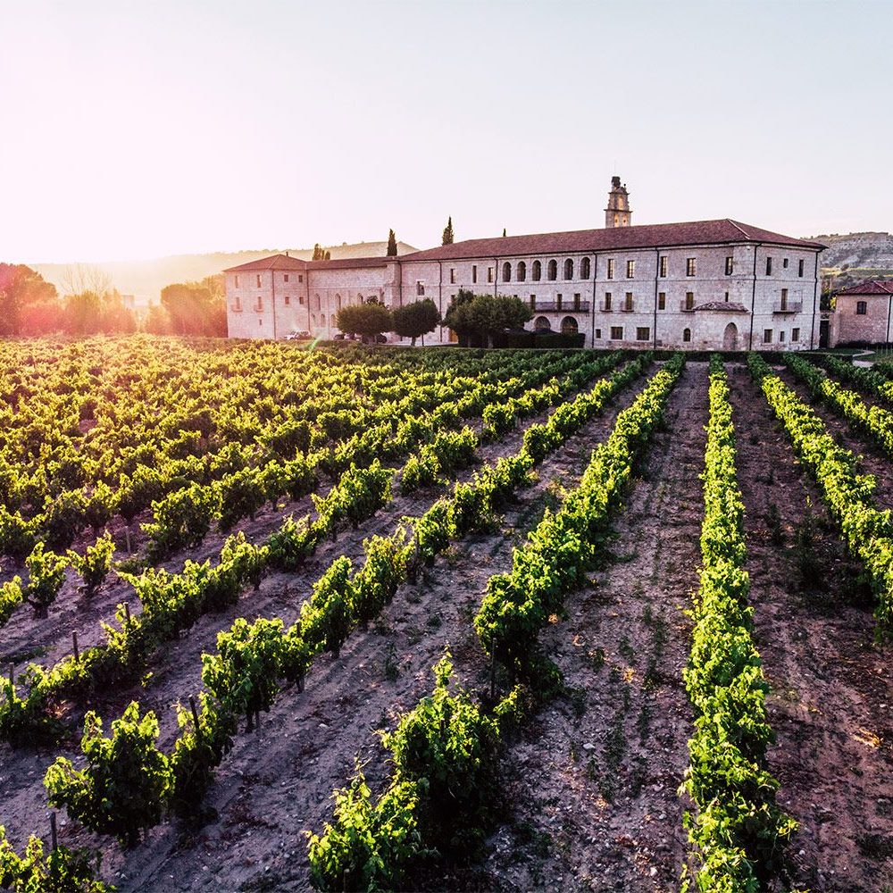 bodegas-enoturismo-vino-vendimia-abadia-retuerta-1538589752