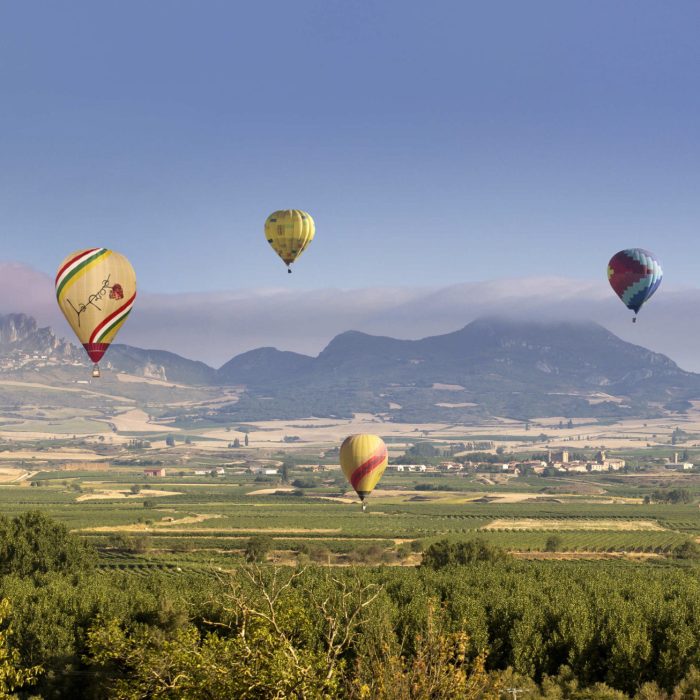 fondo_globos_2-baja-ConvertImage